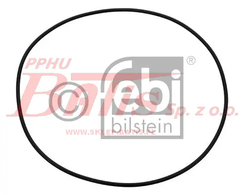 febi-wstaw.jpg