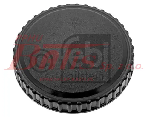 febi-wstaw.jpg