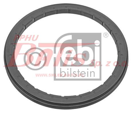 febi-wstaw.jpg