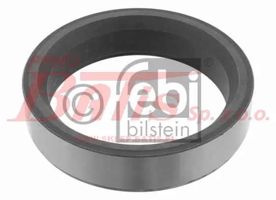 febi-wstaw.jpg