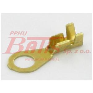 KOŃCÓWKA ELEKTRYCZNA OCZKOWA M5-2,5