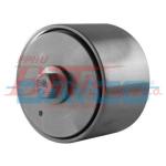 ROLKA dayco NAPINACZA PASKA KLINOWEGO /IVECO STRALIS