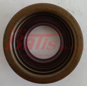 USZCZELNIACZ zf CYLINDRA PÓŁBIEGÓW 25*40/49,5*15 VITON DODATKOWA WARGA DAF/CF85/XF95