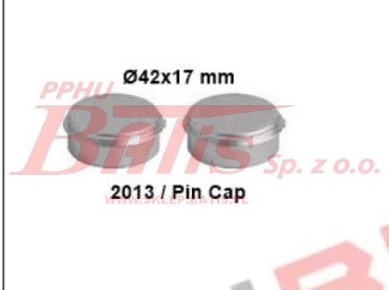 2013 pin ca[.jpg
