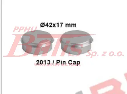 2013 pin ca[.jpg