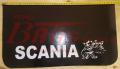 SCANIA1.jpg