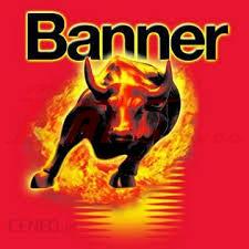 banner.jpg