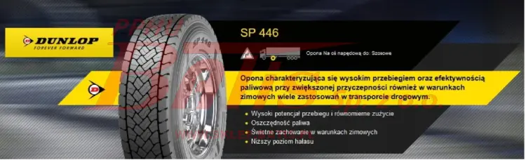 9009358.jpg