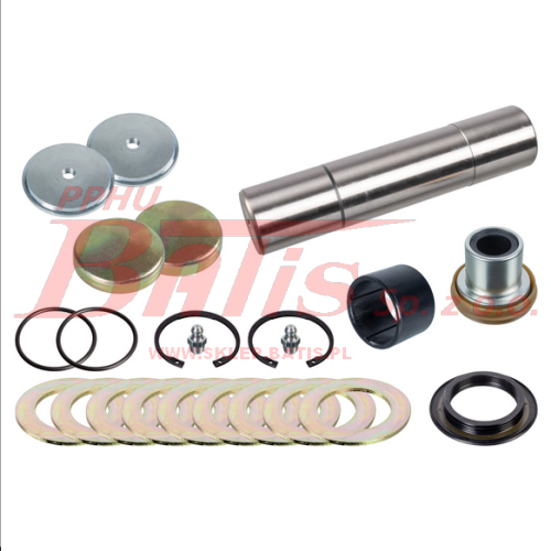 Screenshot 2022-03-11 at 09-43-30 febi 170123 Zestaw naprawczy sworznia zwrotnicy Zestaw pojedynczy bilstein group partsfinder Oficjalny katalog części zamiennych febi SWAG &amp; Blue Print.png