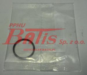 O-RING daf oe WTRYSKIWACZA DMCI DAF