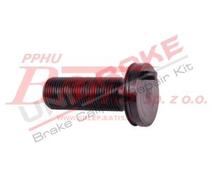 ŚRUBA unb SAMOREGULACJI 87MM DO ZACISKU WABCO PAN17  z bolcem