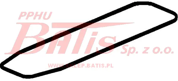 Elring.jpg