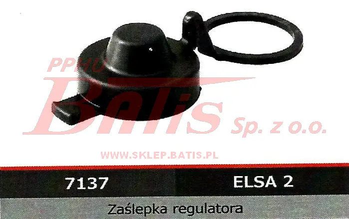 Elerte-wstaw2.JPG