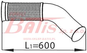 68090.BMP.jpg
