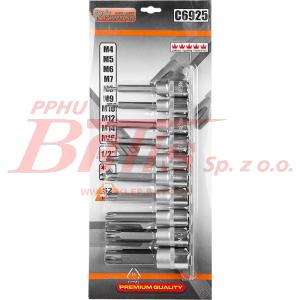 KPL NASADEK richmann SPLINE M4-M16 100MM 1/2'S2 / 9 elementów / na listwie /