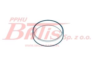 PIERŚCIEŃ daf oe PRZECIW WYTARCIOWY DAF XF105