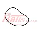 O-RING daf oe POMPY WODY DAF XF106