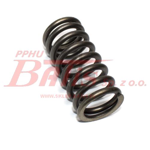 1813104-VALVE-SPRING-IN-DAF-PACCAR-EURO5-TEMSA-SAFIR-2.jpg