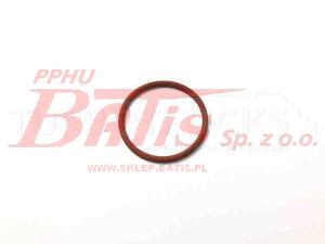 O-RING daf oe WTRYSKIWACZA DAF MOT. MX-13 EURO 6