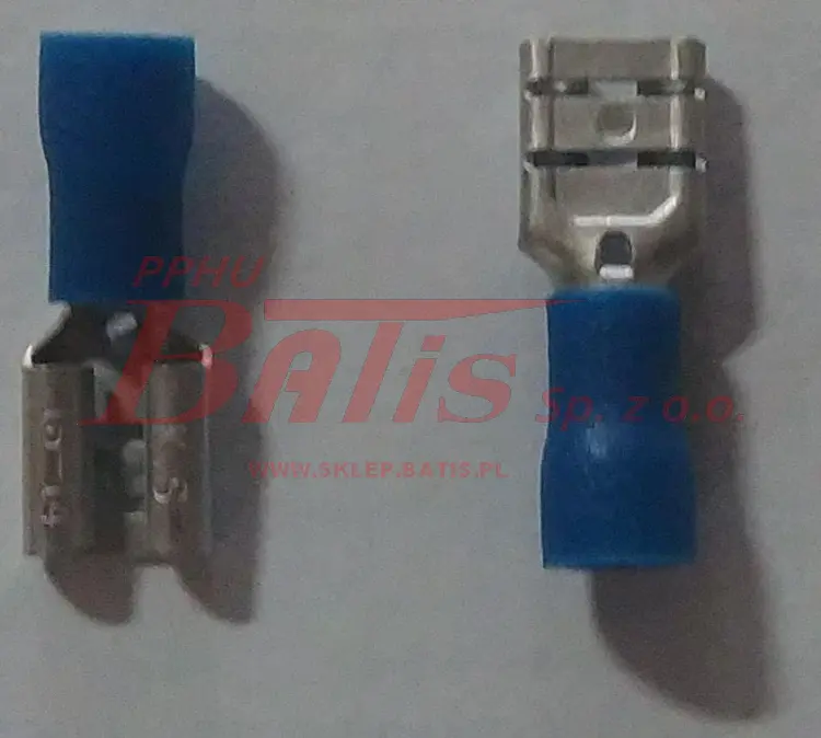 IMAG0025.jpg
