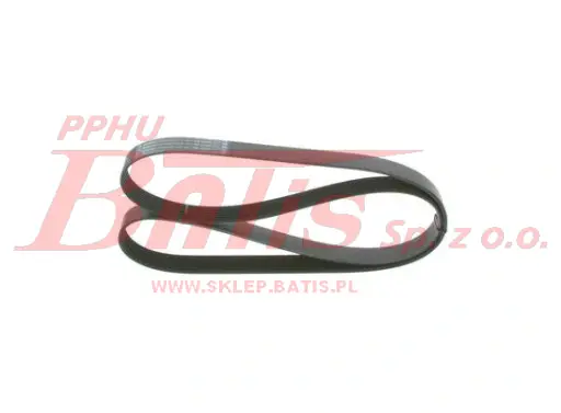 14.webp