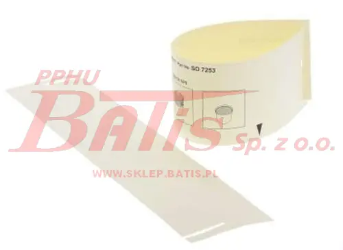 11.webp