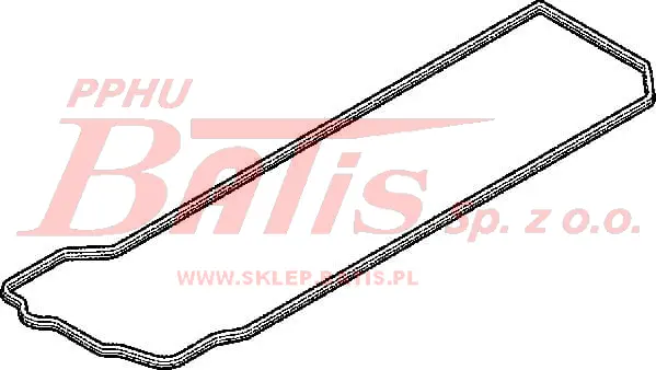 Elring.jpg
