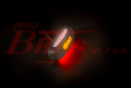 310503(4).png