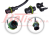 3105420(6).png