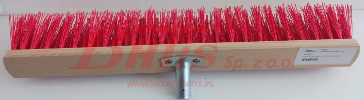 3009372.jpg