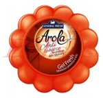 ZAPACH arola /dynia ANTYTABAK - 150g / odświeżacz powietrza w żelu / opakowanie 10szt. / kształt: dynia; GEL FRESH /
