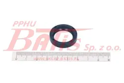 303516.jpg