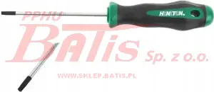 WKRĘTAK honiton TORX 25X100 STAL S2