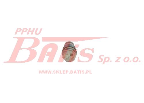 1110010026b.JPG