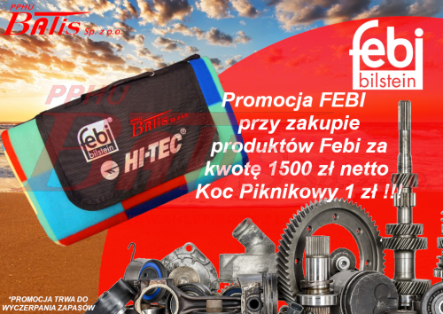 promocjafebi.png