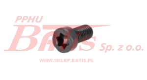 ŚRUBA unb TORX M8x16 POKRYWY ZACISKU KN/WABCO/MERITIR