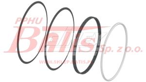 USZCZELKA dinex FILTRA DPF DAF XF106 USZCZLKA .DPF, DAF