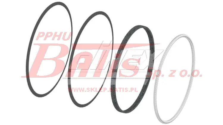 3421804.jpg