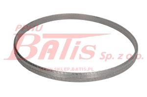 USZCZELKA dinex FILTRA DPF 6LI000 / SCANIA P/G/R/T; EURO 6 /