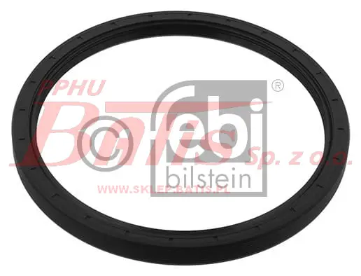 febi-wstaw.jpg