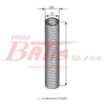 RURA dinex PESZLA FI 70 dinex / odcinek 2 metry /
