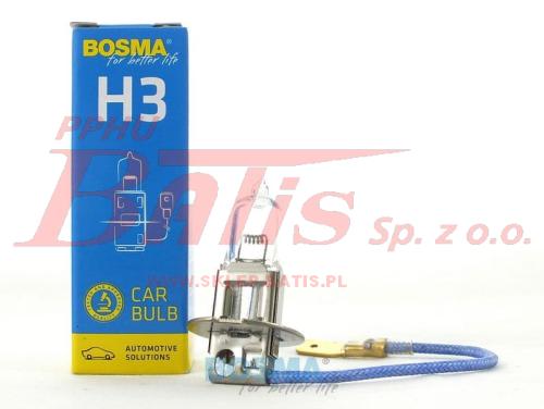 bosma-wstaw.jpg