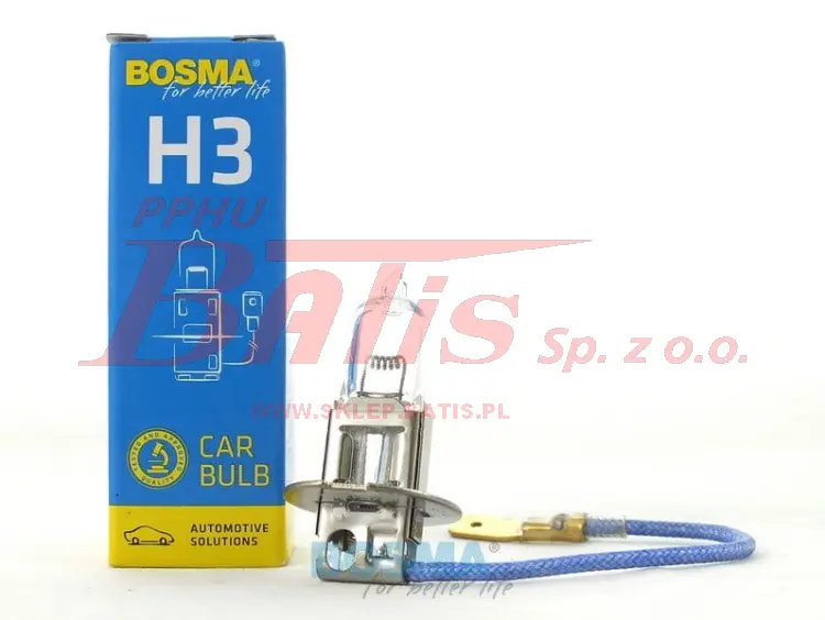 bosma-wstaw.jpg