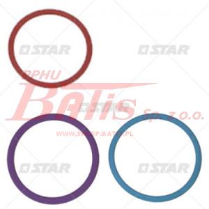 KPL. ORINGÓW CZĘŚCI POMPOWTRYSKIWACZA IVECO STRALIS bosch