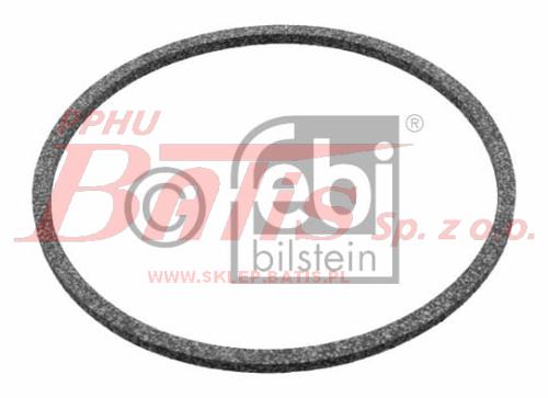 febi-wstaw.jpg