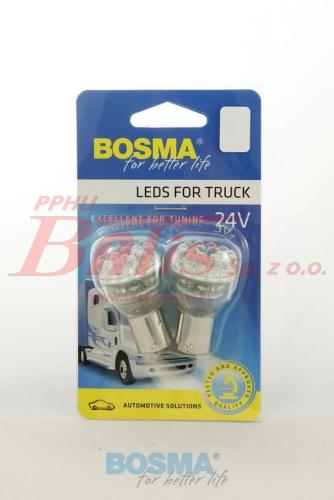 bosma-wstaw.jpg