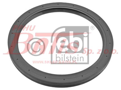 febi-wstaw.jpg