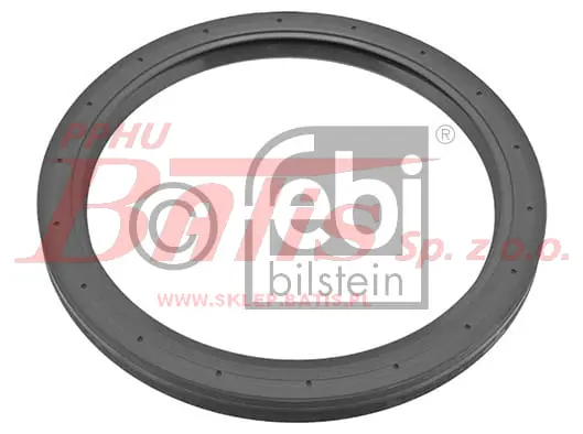 febi-wstaw.jpg