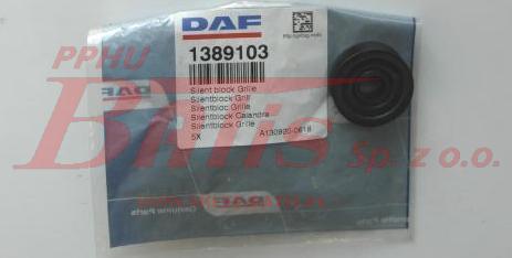 DAF OE-wstaw.jpg