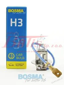 bosma-wstaw.jpg